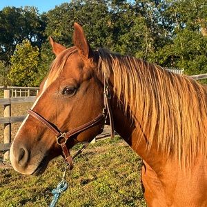 Meet your Posher, Michelle